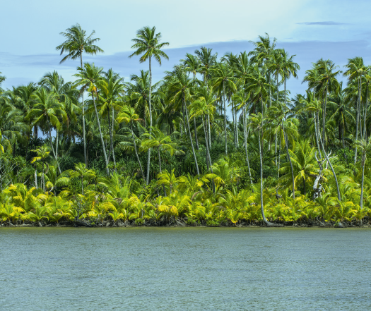 Raiatea