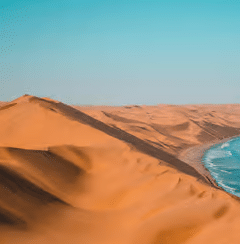 LE DAMARALAND