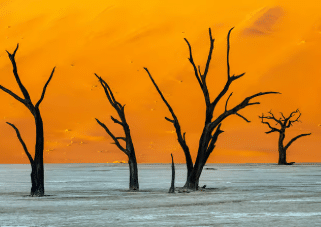 SOSSUSVLEI