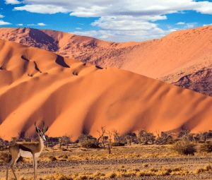 Namibie - Les Grands Espaces vus du ciel