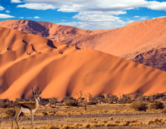 Namibie – Les Grands Espaces vus du ciel