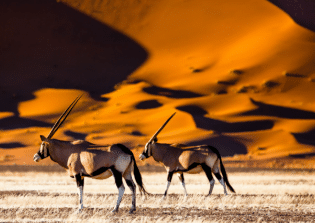 SOSSUSVLEI