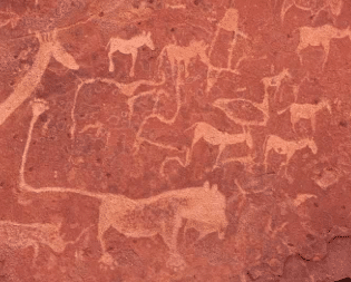 LE DAMARALAND